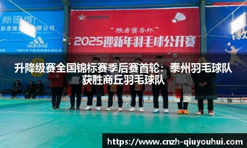 升降级赛全国锦标赛季后赛首轮:泰州羽毛球队获胜商丘羽毛球队